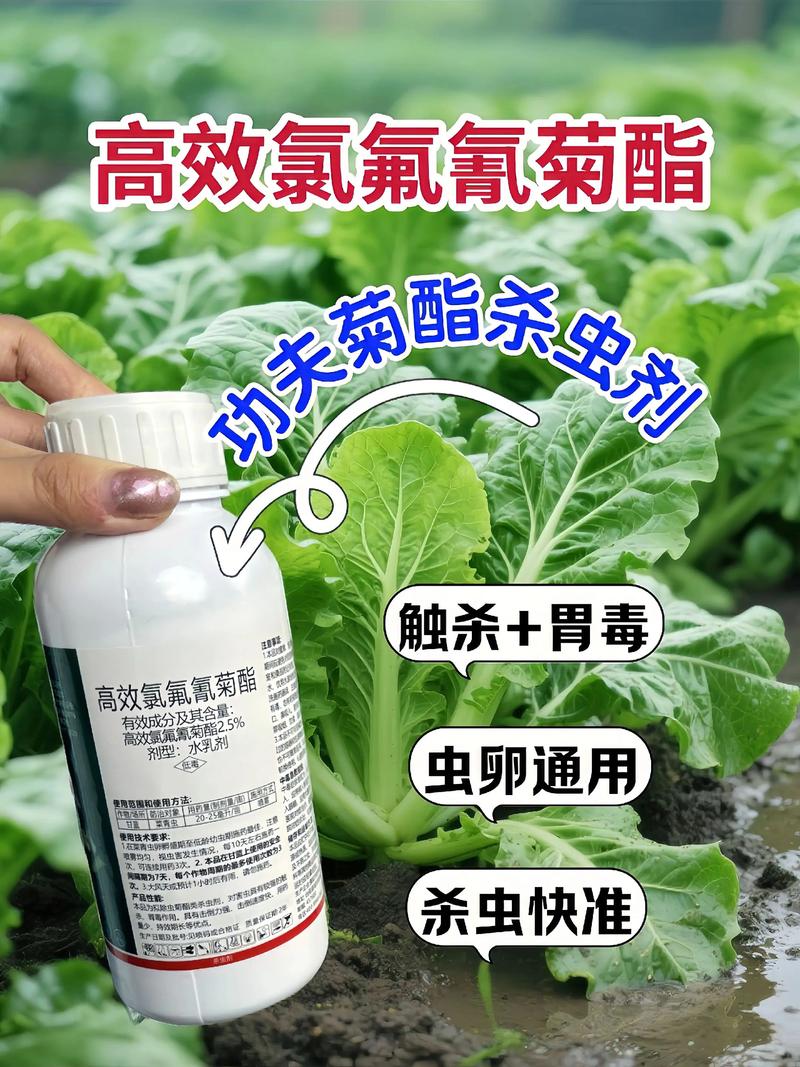 琼海代生中心:农药对供卵代生妈妈的危害